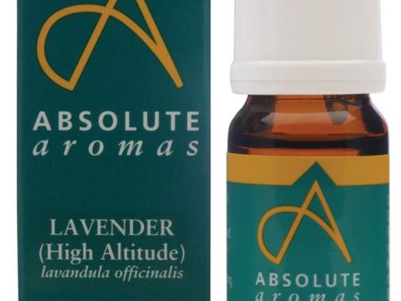 Absolute Aromas Lavender Oil 10ml For Cheap