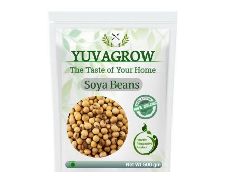 Yuvagrow Soya Beans Supply