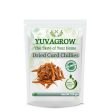 Yuvagrow Dried Curd Chillies For Sale