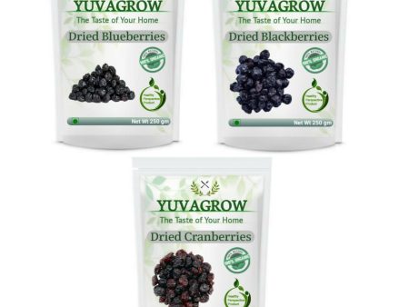 Yuvagrow Super Berries Combo Online Sale