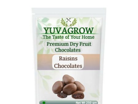 Yuvagrow Raisins Chocolates For Discount