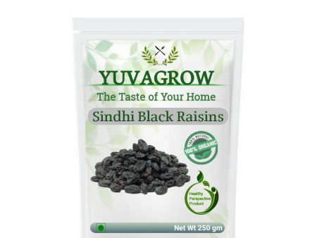 Yuvagrow Sindhi Black Raisins Cheap